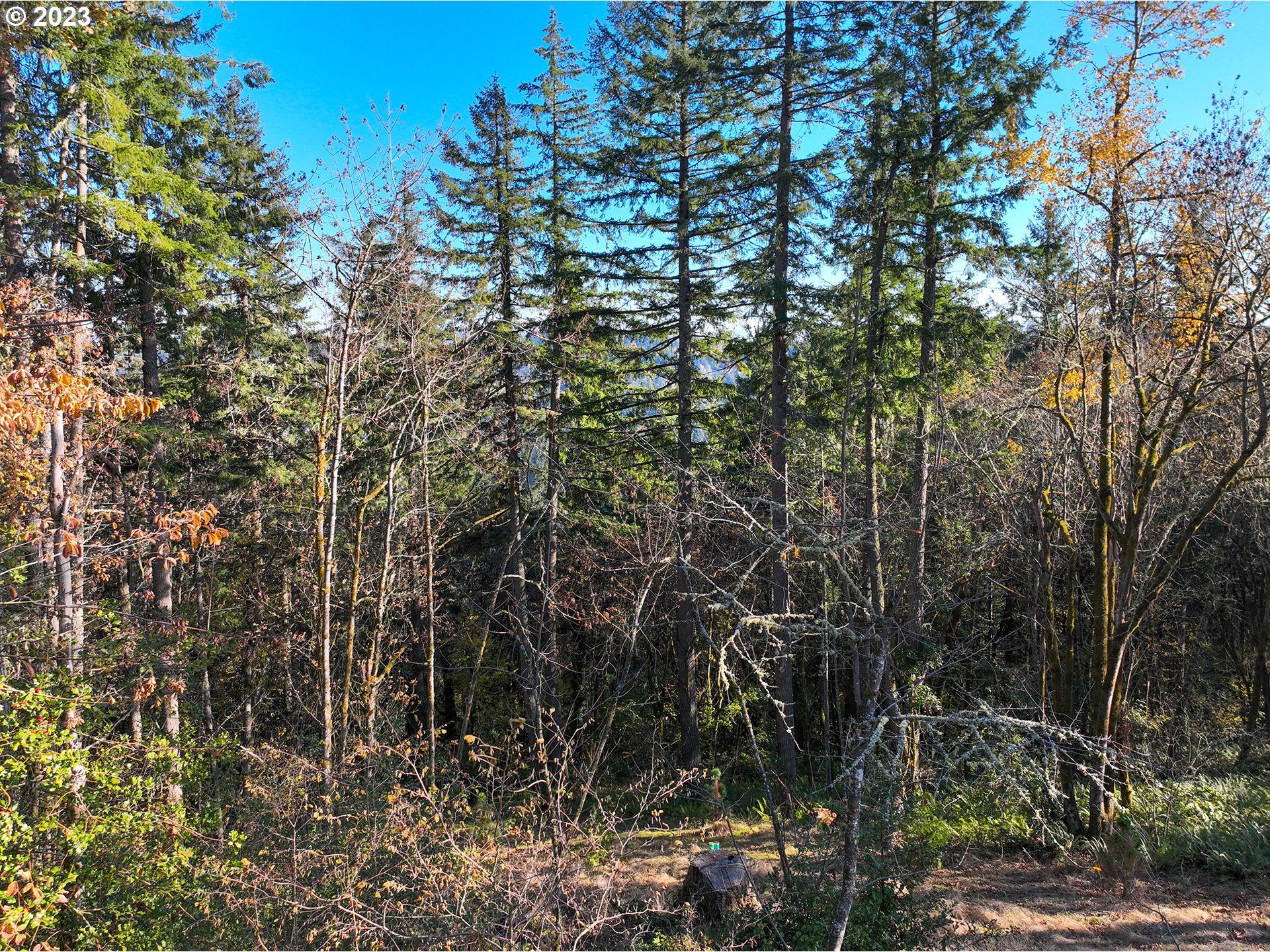 2645 Cupola DR 13, Eugene, OR 97403, photo 3 of 9