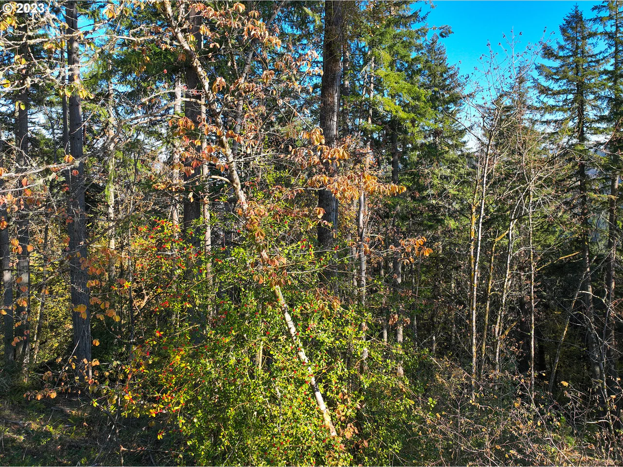 2645 Cupola DR 13, Eugene, OR 97403, photo 5 of 9