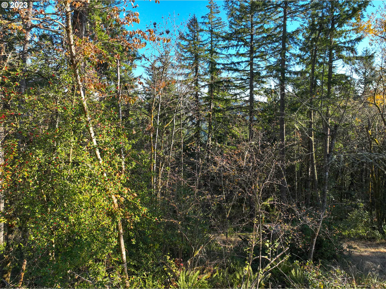 2645 Cupola DR 13, Eugene, OR 97403, photo 6 of 9