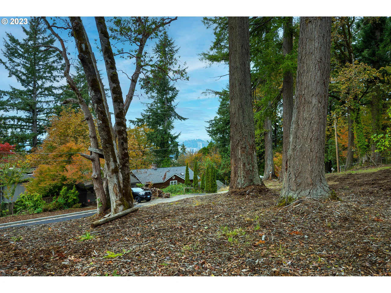 2985 Capital DR 3, Eugene, OR 97403, photo 8 of 13