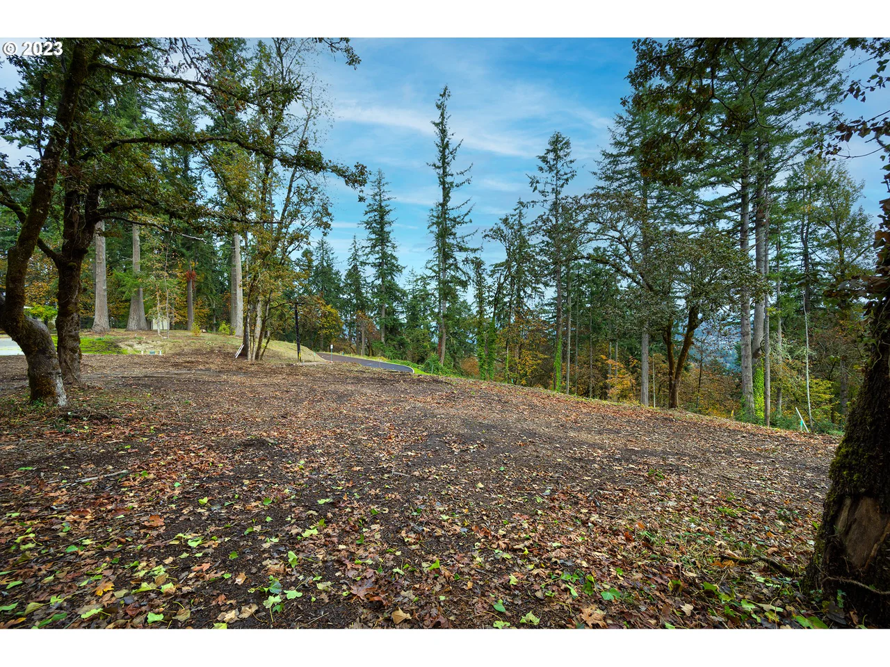 2620 Cupola DR 27, Eugene, OR 97403, photo 7 of 11