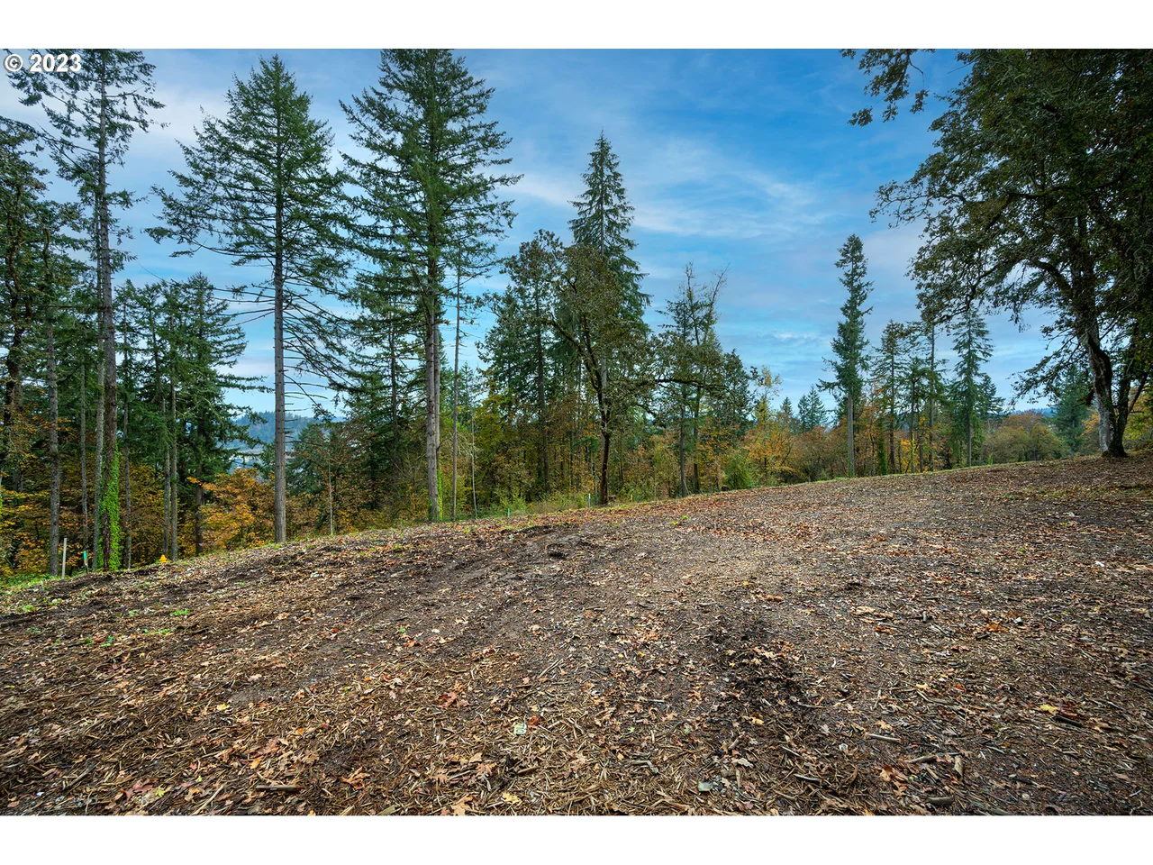 2620 Cupola DR 27, Eugene, OR 97403, photo 8 of 11