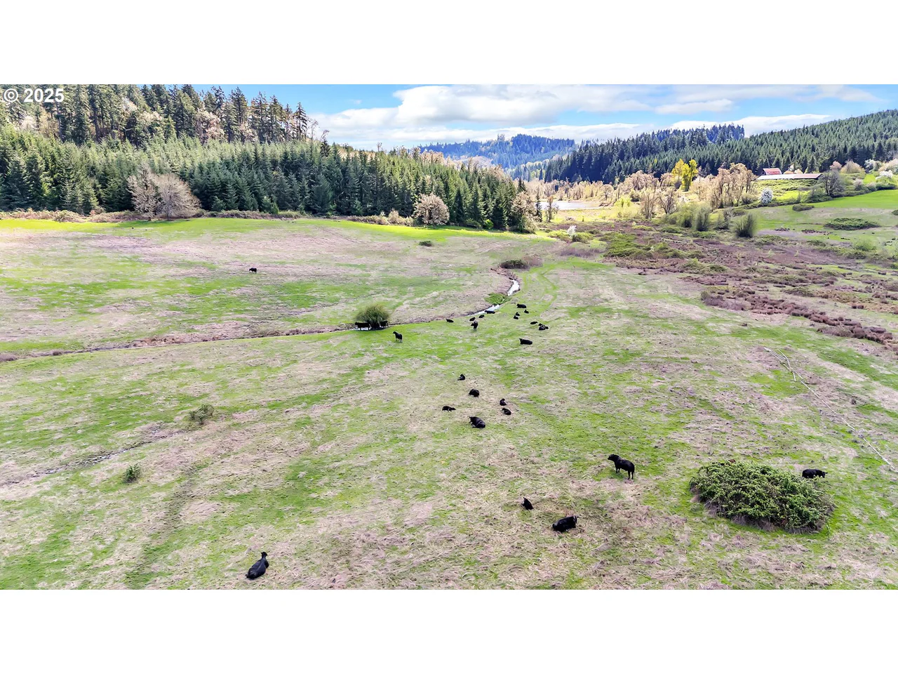26900 CROW RD, Eugene, OR 97402, photo 7 of 48