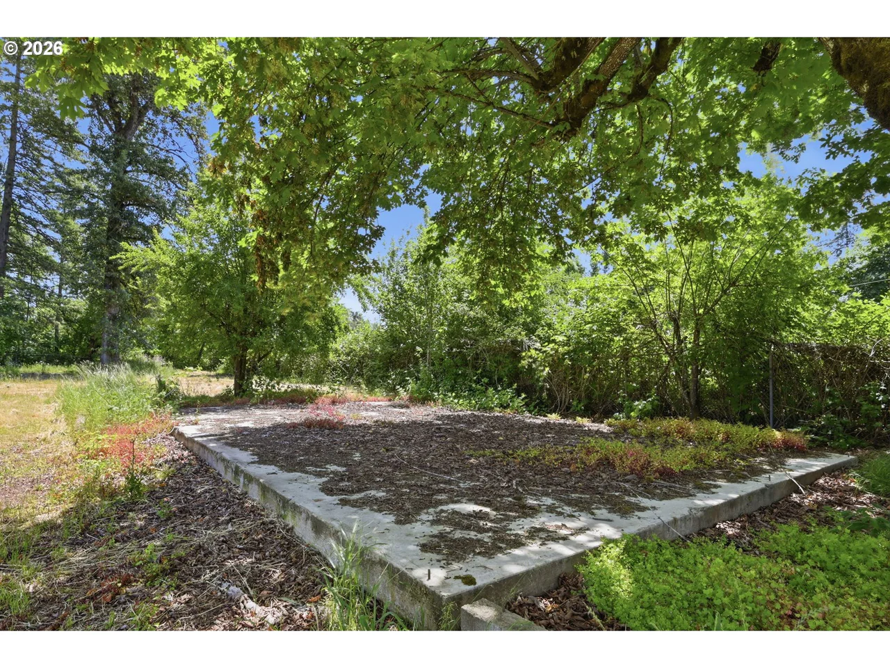 0 Brabham RD, Pleasant Hill, OR 97455, photo 6 of 16