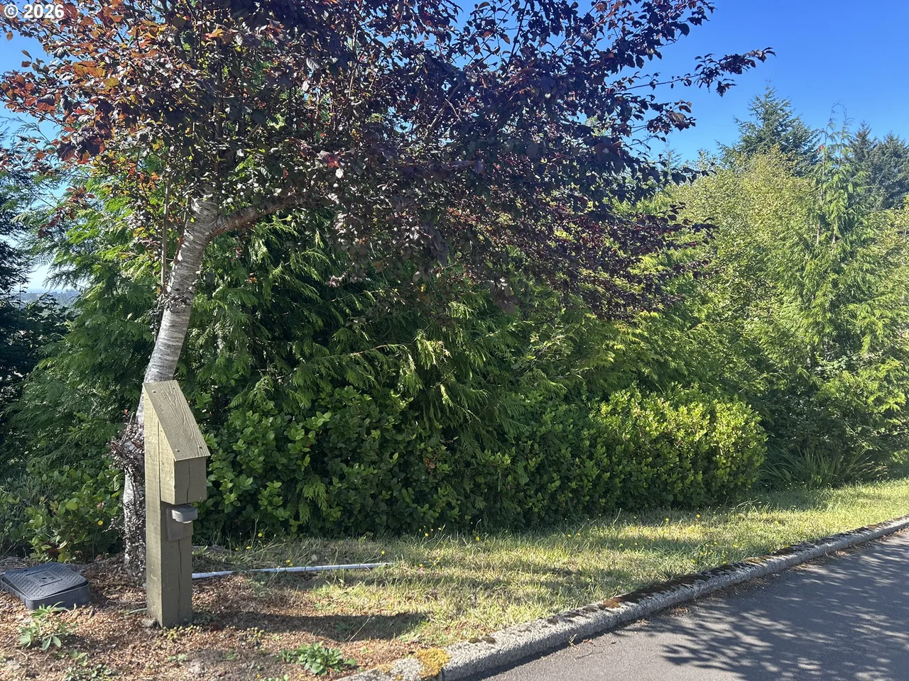 Ocean View DR TL07300, Florence, OR 97439, photo 1 of 15
