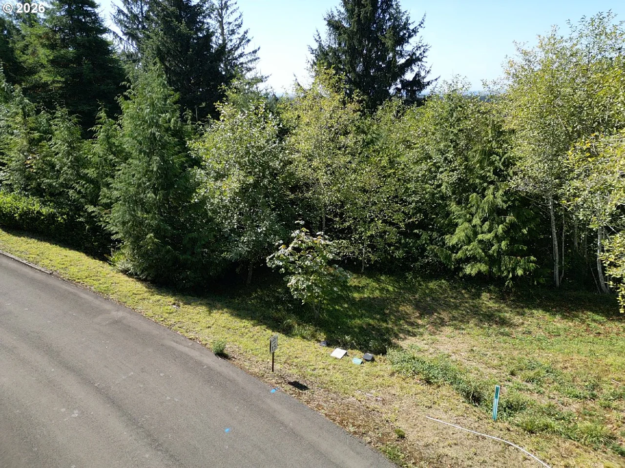 Ocean View DR TL07300, Florence, OR 97439, photo 5 of 15