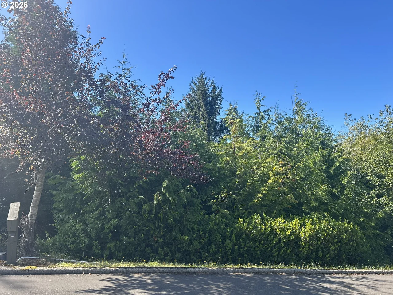 Ocean View DR TL07300, Florence, OR 97439, photo 7 of 15