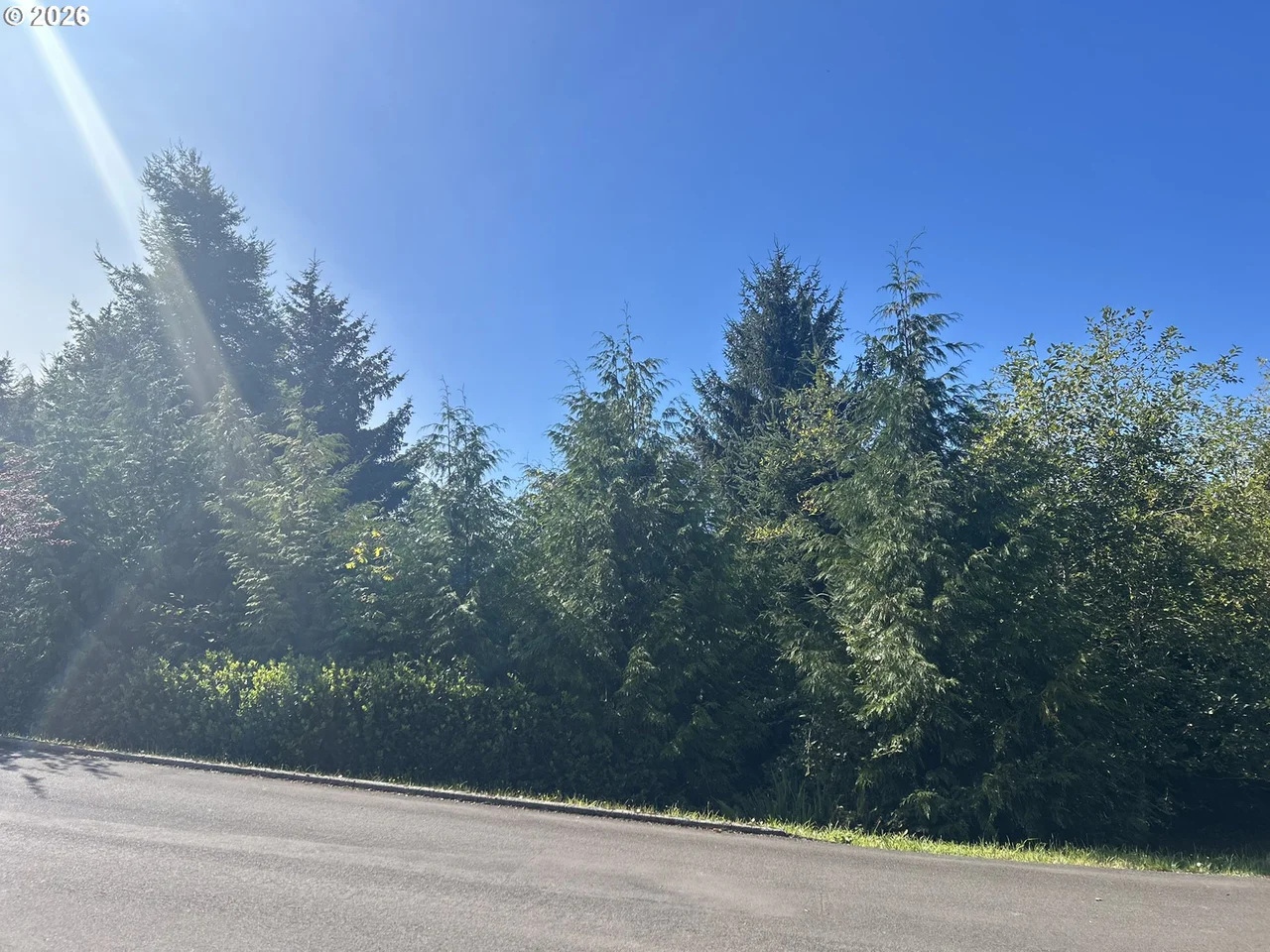 Ocean View DR TL07300, Florence, OR 97439, photo 8 of 15