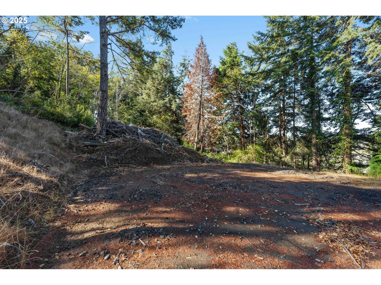 2253 PONY CREEK RD, North Bend, OR 97459, photo 5 of 14