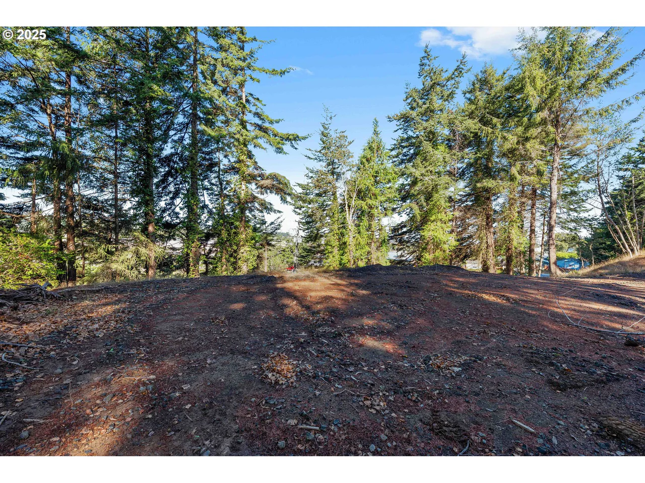 2253 PONY CREEK RD, North Bend, OR 97459, photo 4 of 14
