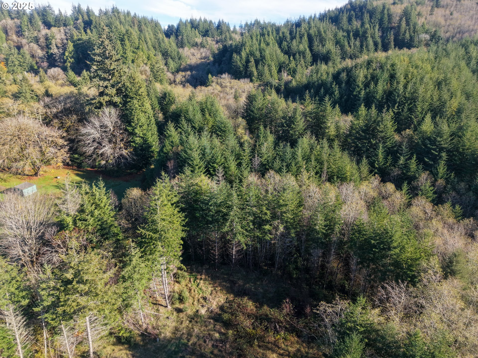 19 Pierson 1421, Coos Bay, OR 97420, photo 3 of 6