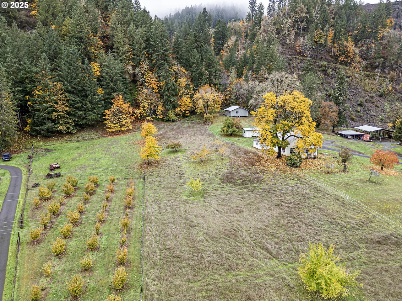 27403 STATE HIGHWAY 38, Elkton, OR 97436, photo 5 of 48