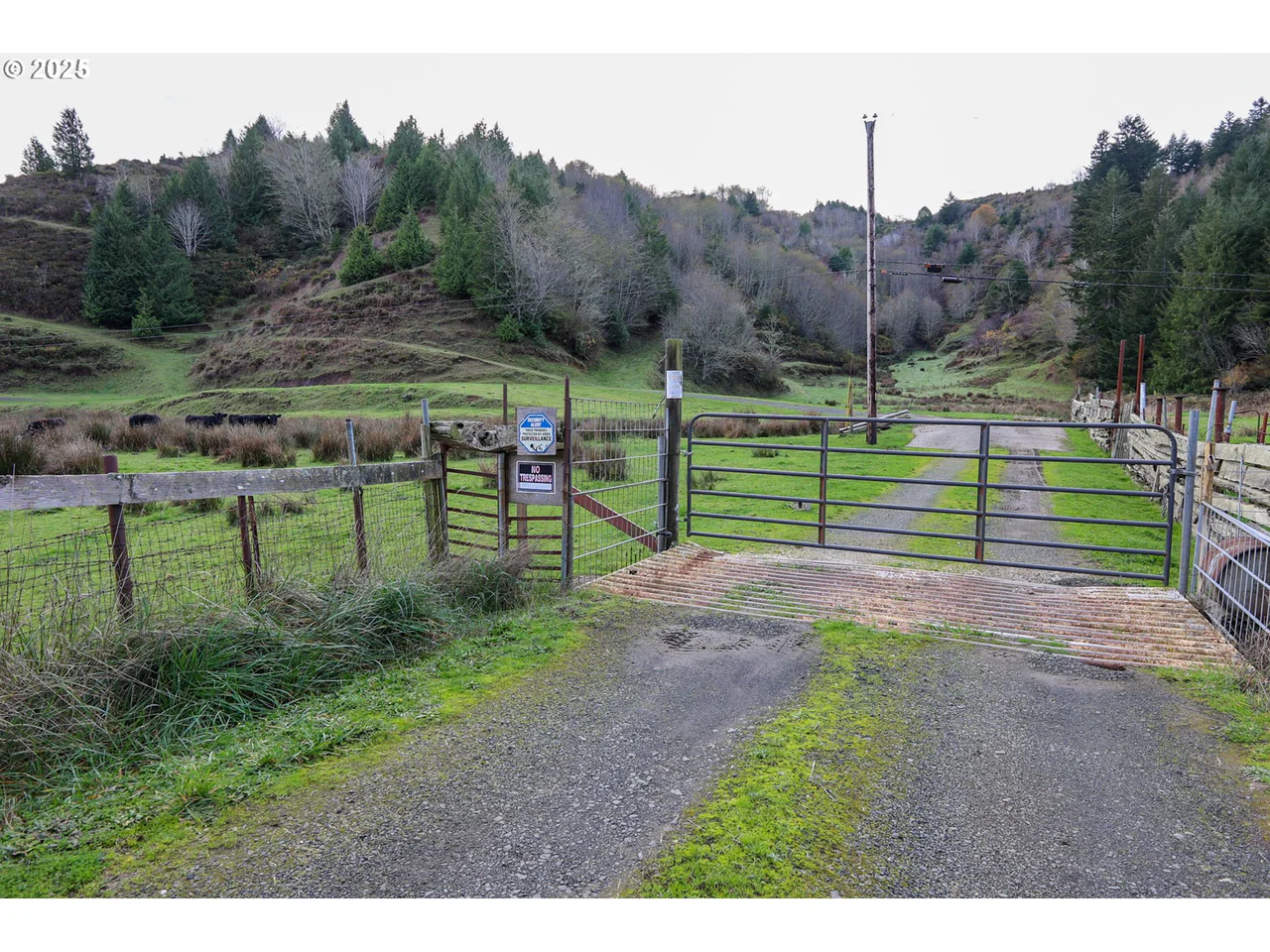 70033 LARSEN RANCH RD, North Bend, OR 97459, photo 5 of 41