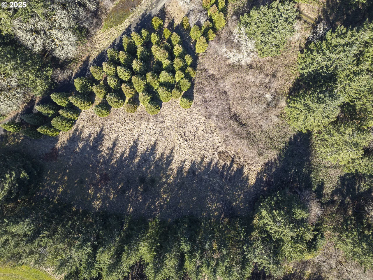 Orchard Knob RD, Dallas, OR 97338, photo 6 of 8