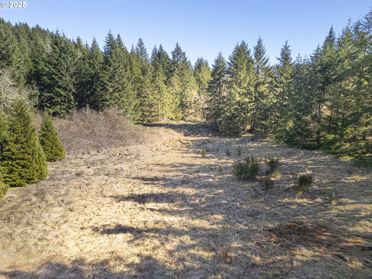 Orchard Knob RD, Dallas, OR 97338, photo 7 of 8