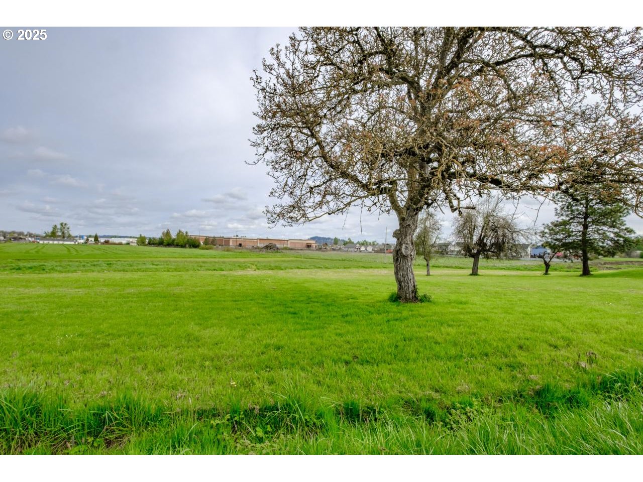 4055 SE SPICER DR, Albany, OR 97322, photo 8 of 10