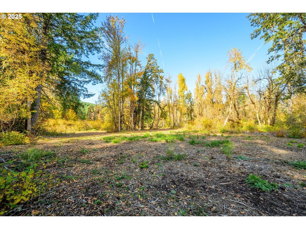 Siuslaw River RD