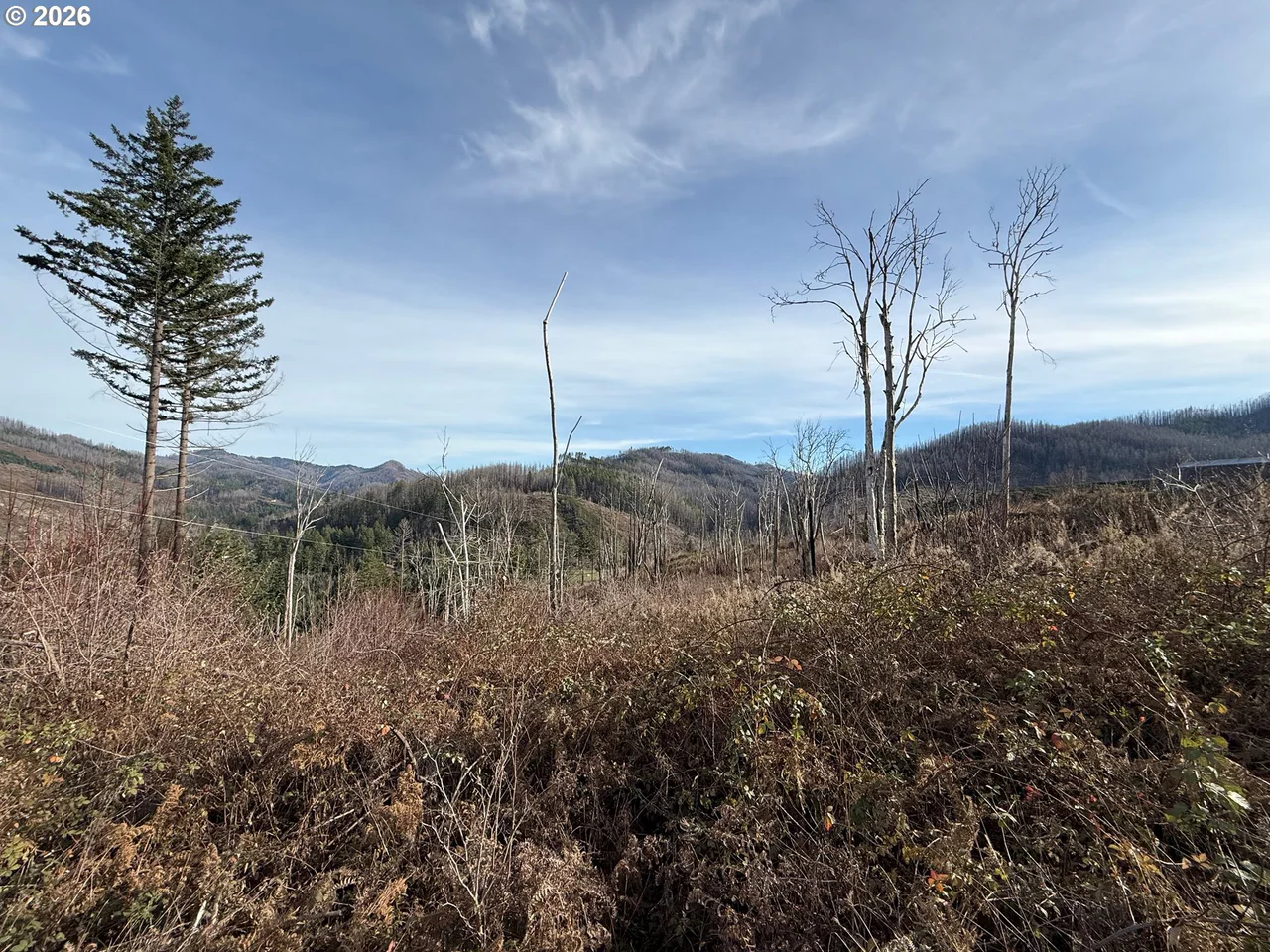 Cascade View 1, Vida, OR 97488, photo 4 of 14