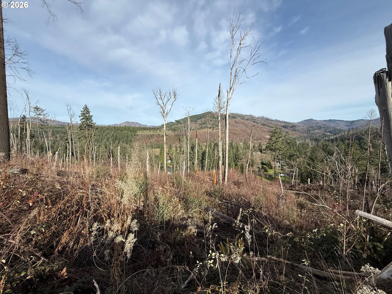 Cascade View 1, Vida, OR 97488, photo 5 of 14