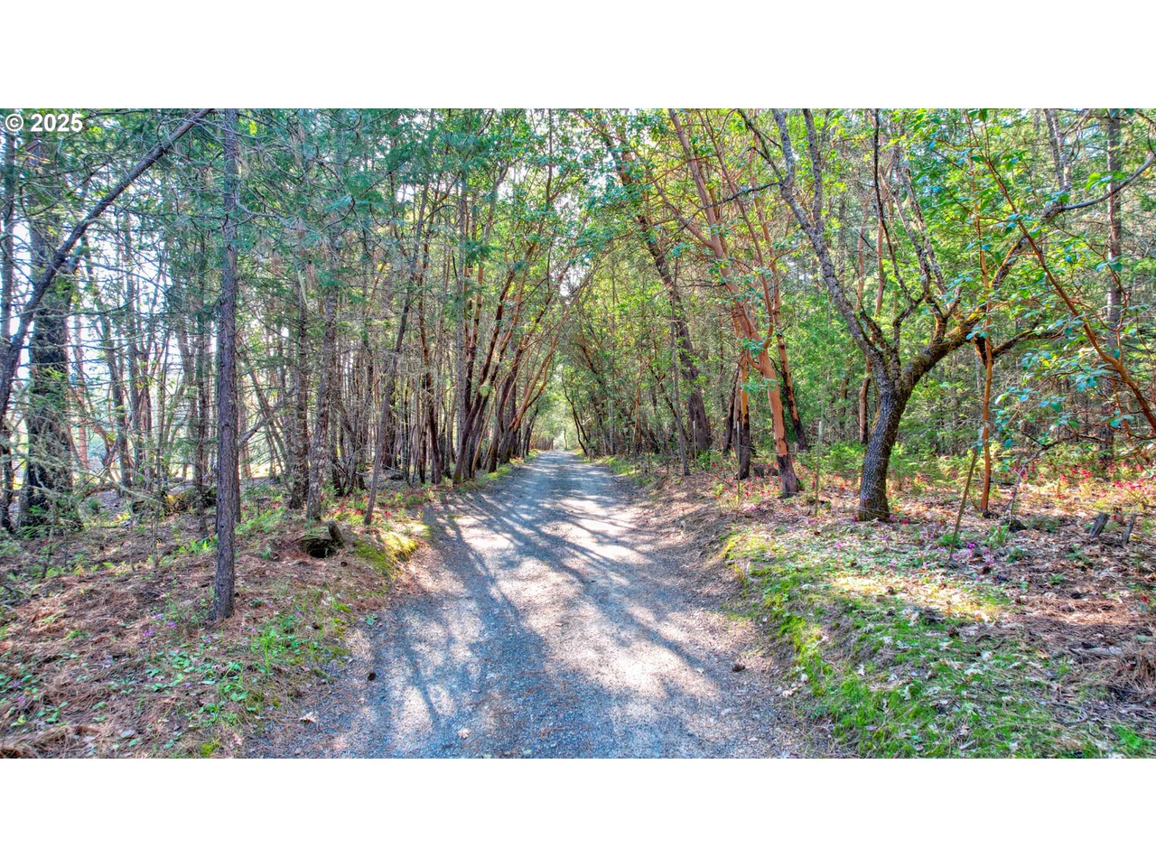 858 MISSOURI FLAT RD, Grants Pass, OR 97527, photo 4 of 5