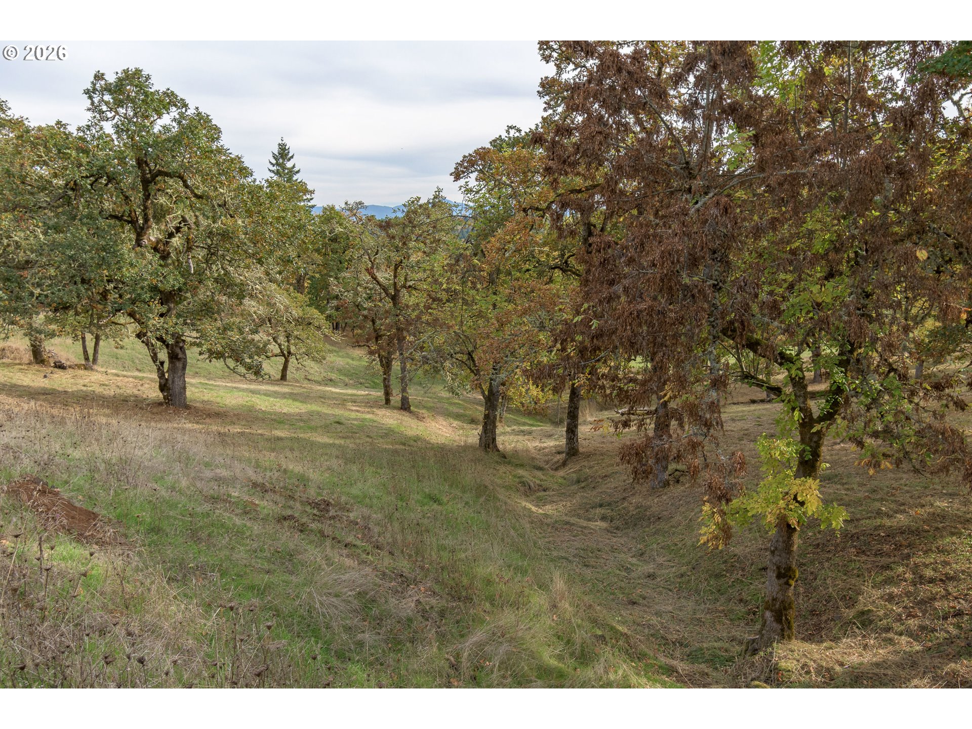 Hidden Meadows, Eugene, OR 97405, photo 3 of 24