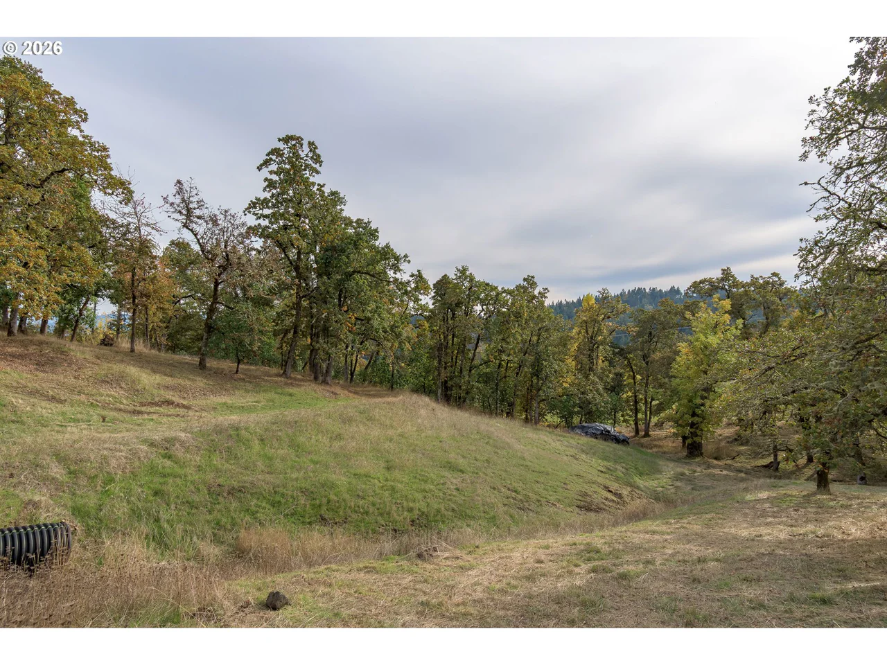 Hidden Meadows, Eugene, OR 97405, photo 4 of 24