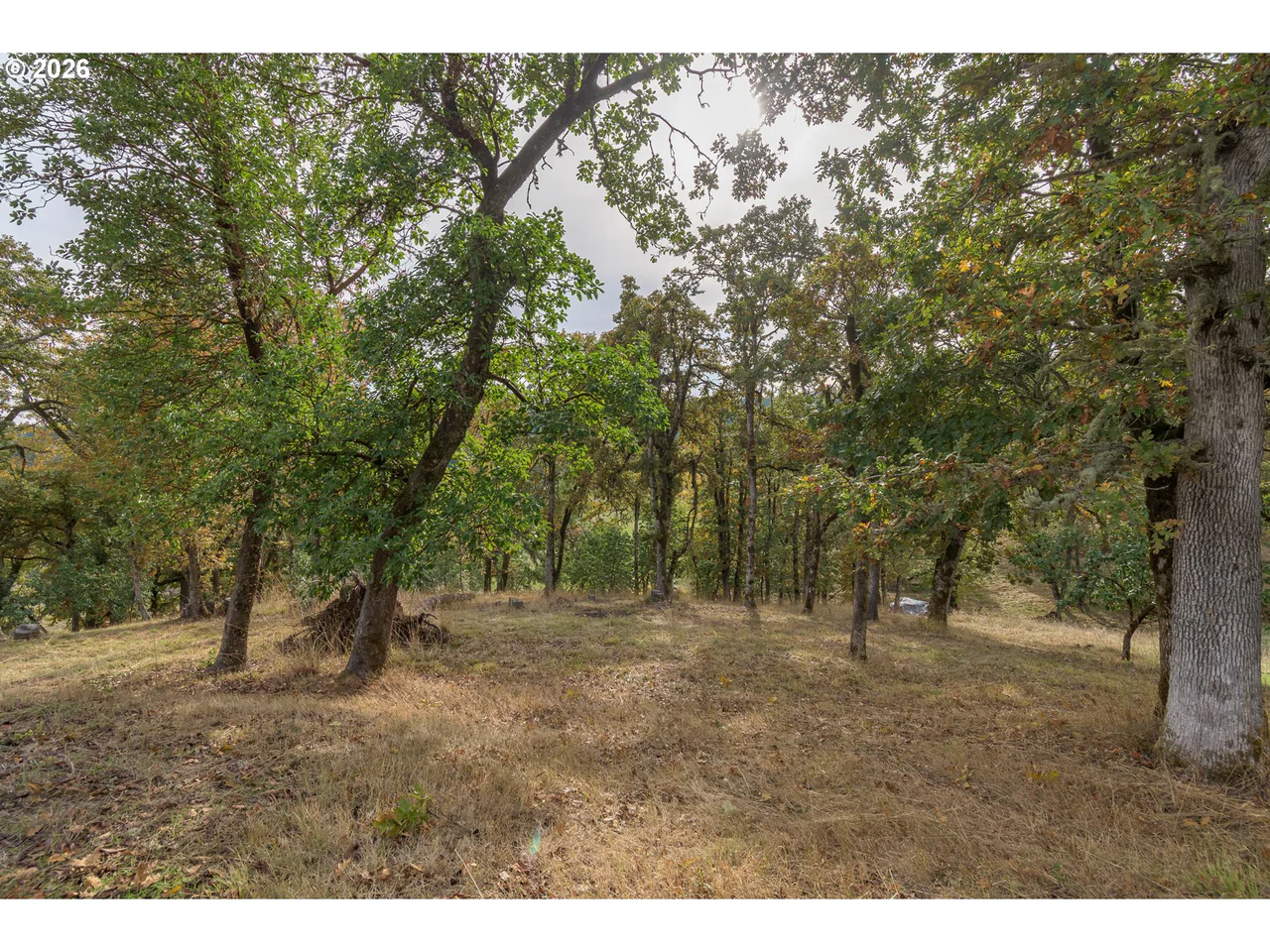 Hidden Meadows, Eugene, OR 97405, photo 5 of 24