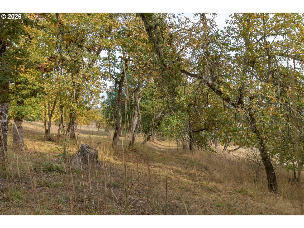 Hidden Meadows, Eugene, OR 97405, photo 7 of 24