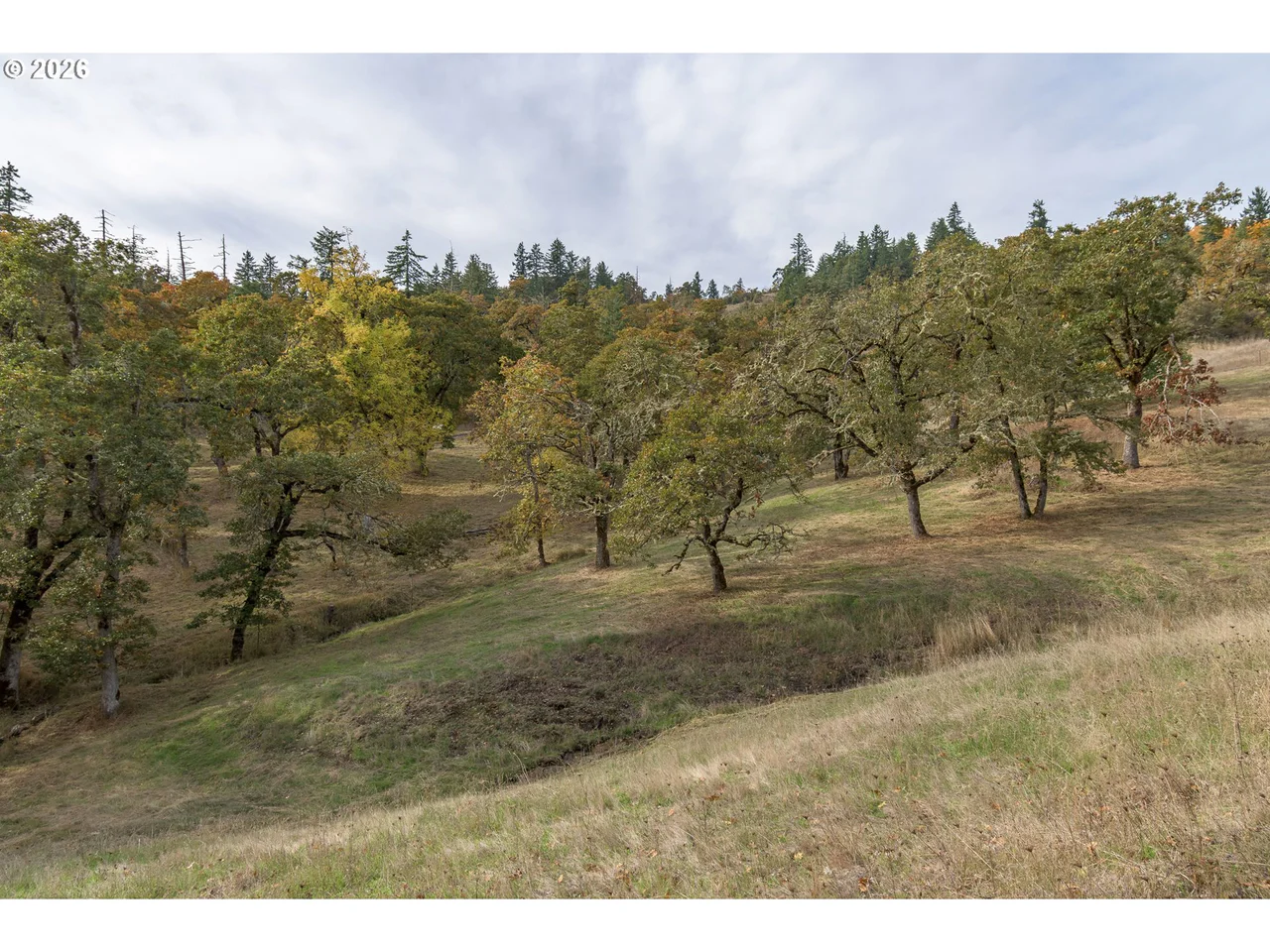 Hidden Meadows, Eugene, OR 97405, photo 8 of 24