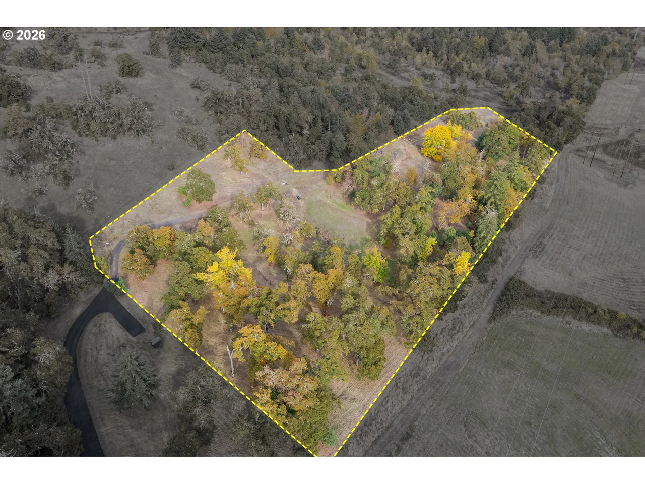 Hidden Meadows, Eugene, OR 97405, photo 1 of 24