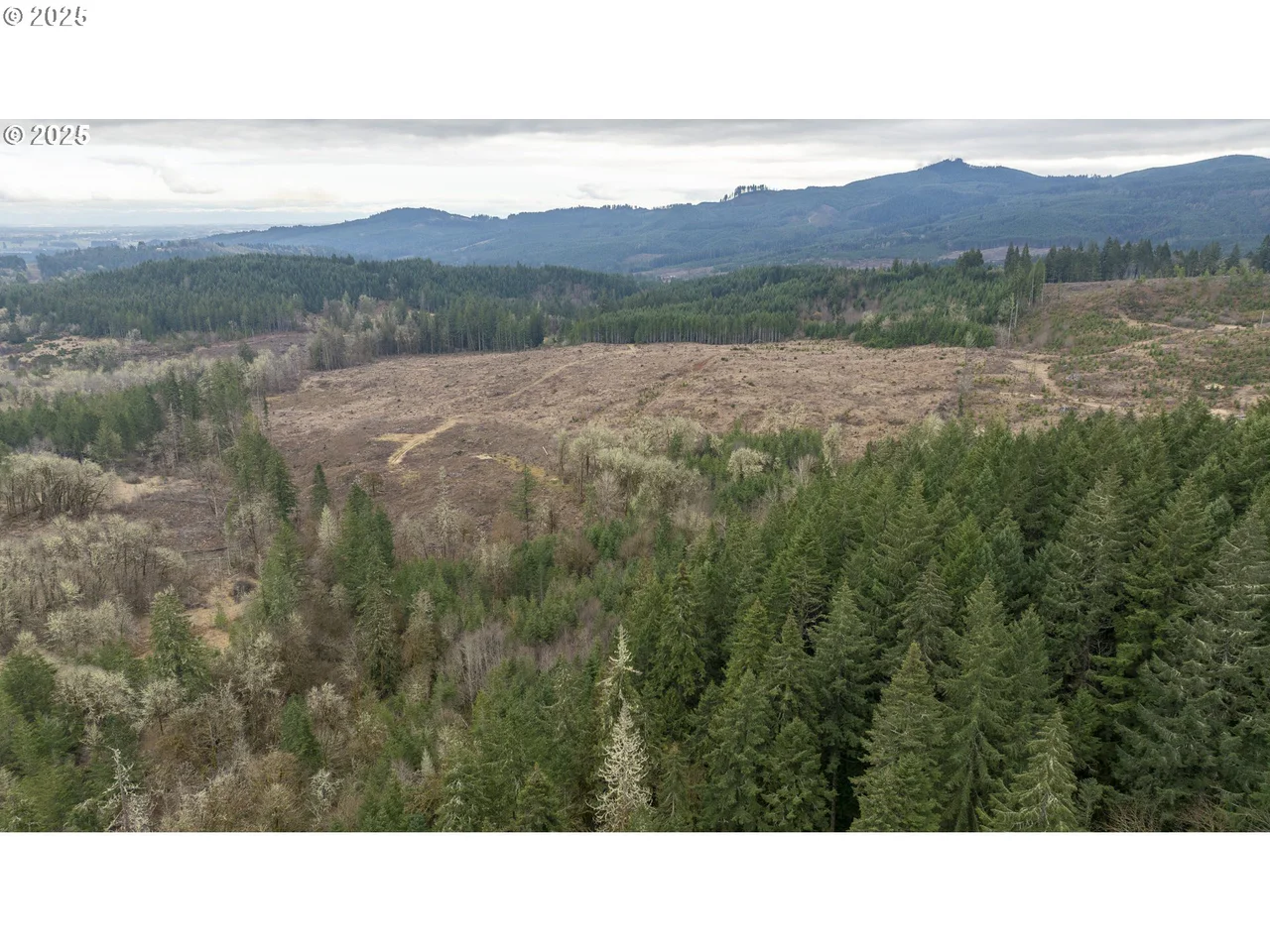 0 NW Panther Creek, Carlton, OR 97111, photo 5 of 28