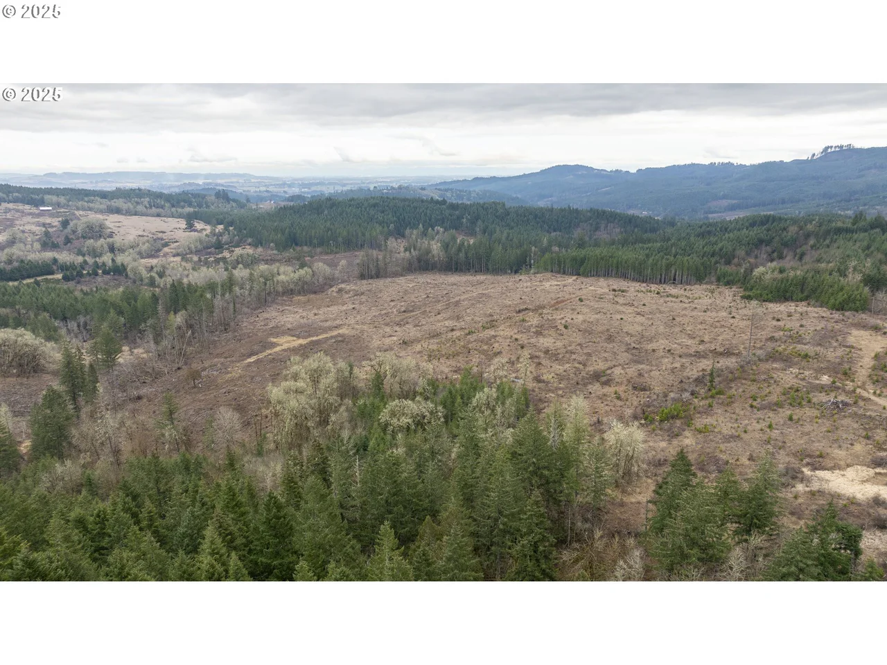 0 NW Panther Creek, Carlton, OR 97111, photo 6 of 28