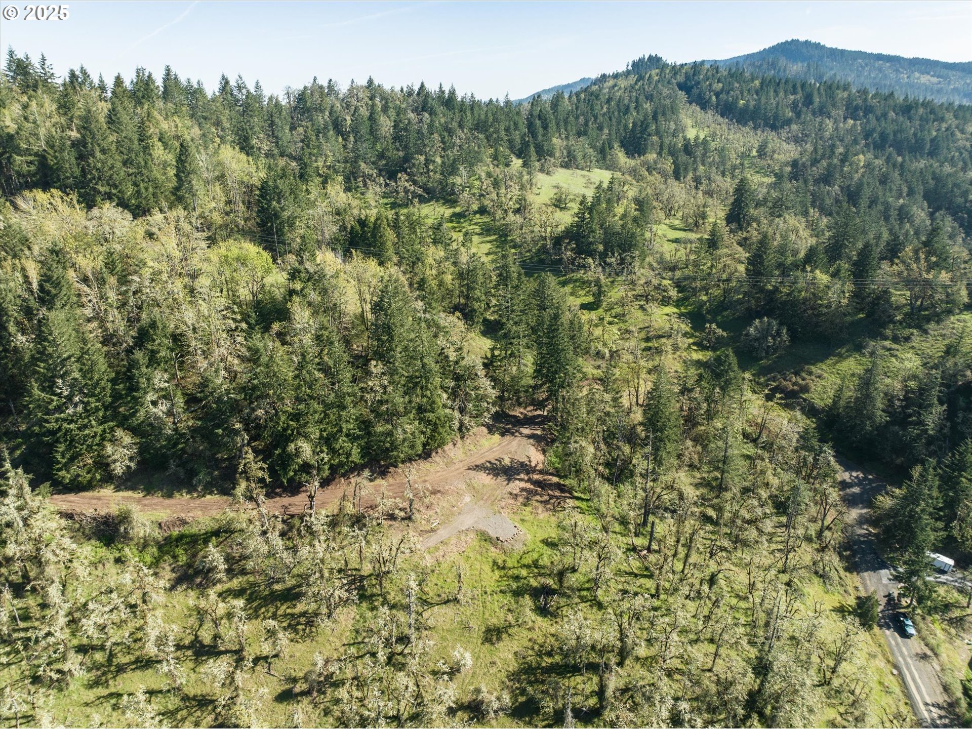 Oakshire DR 11, Springfield, OR 97478, photo 3 of 17