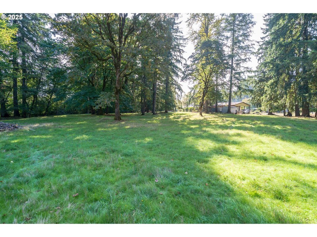 0002317 E Dogwood DR (NEXT TO)