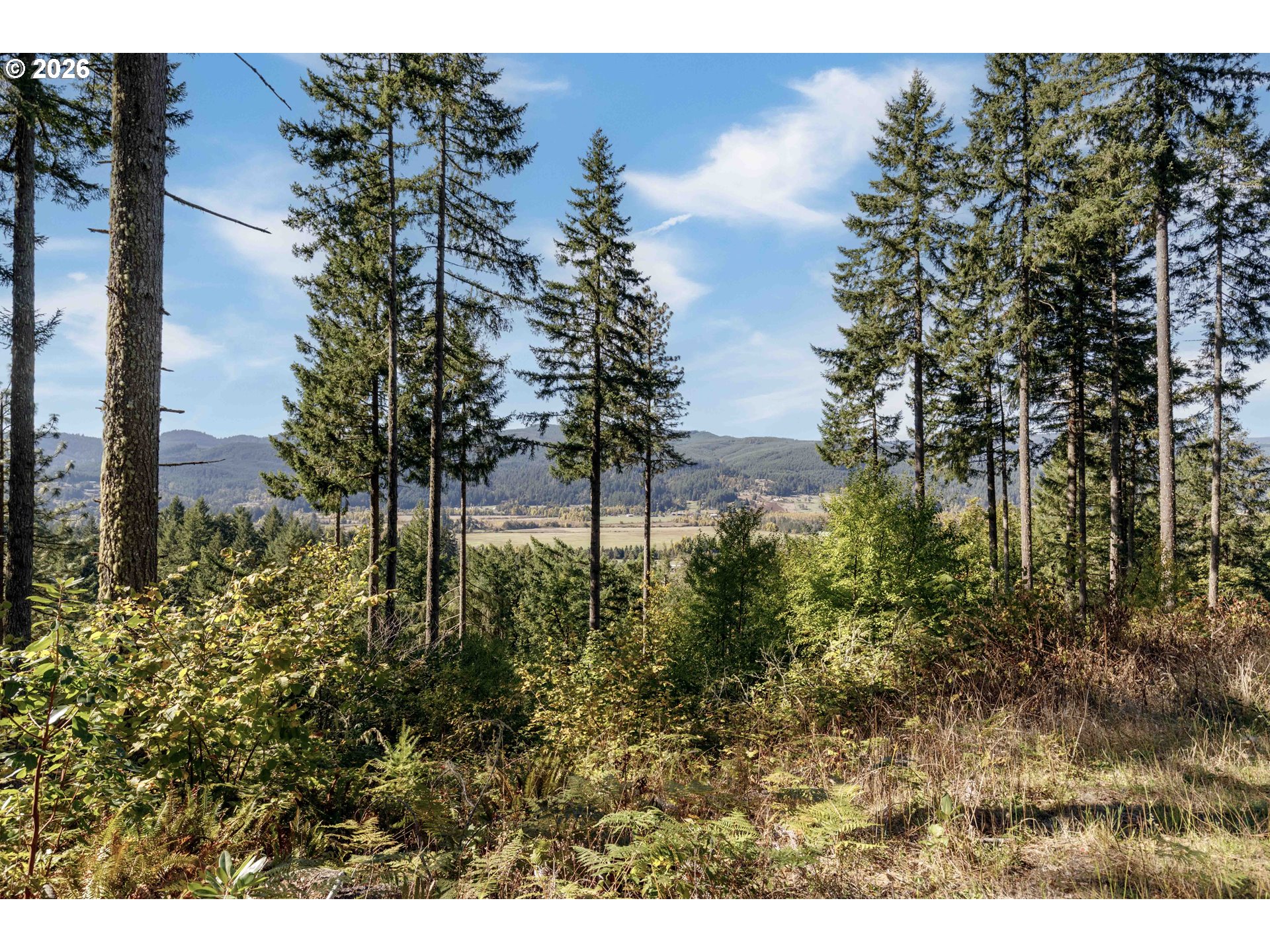 Alder Branch 216, Springfield, OR 97478, photo 3 of 9