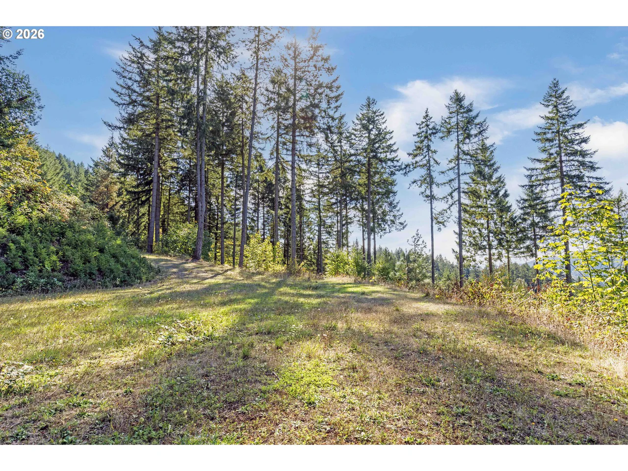 Alder Branch 216, Springfield, OR 97478, photo 4 of 9