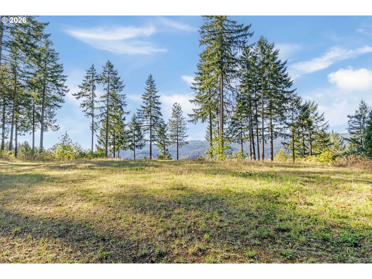 Alder Branch 216, Springfield, OR 97478, photo 1 of 9
