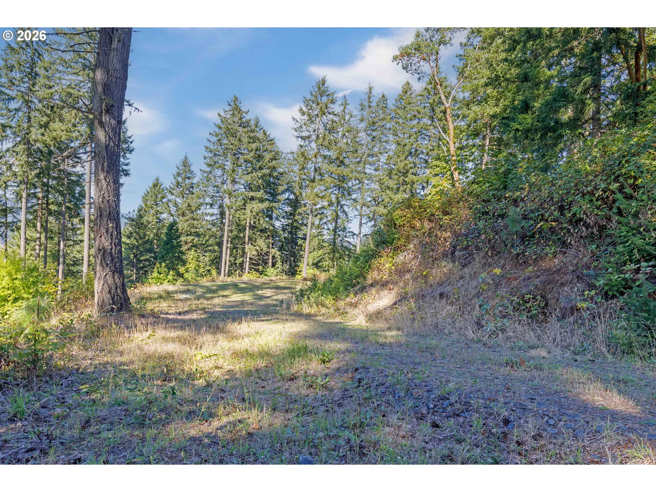 Alder Branch 216, Springfield, OR 97478, photo 2 of 9