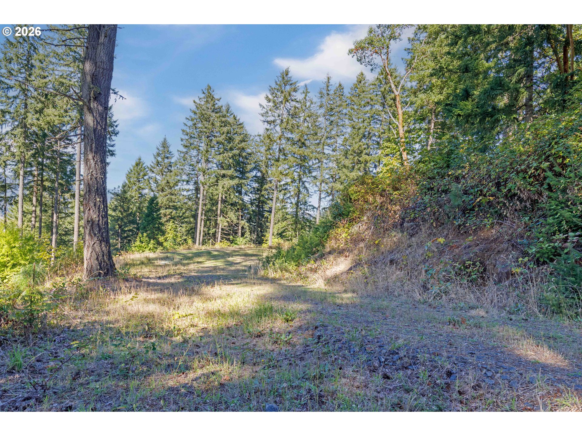 Alder Branch 216, Springfield, OR 97478, photo 2 of 9