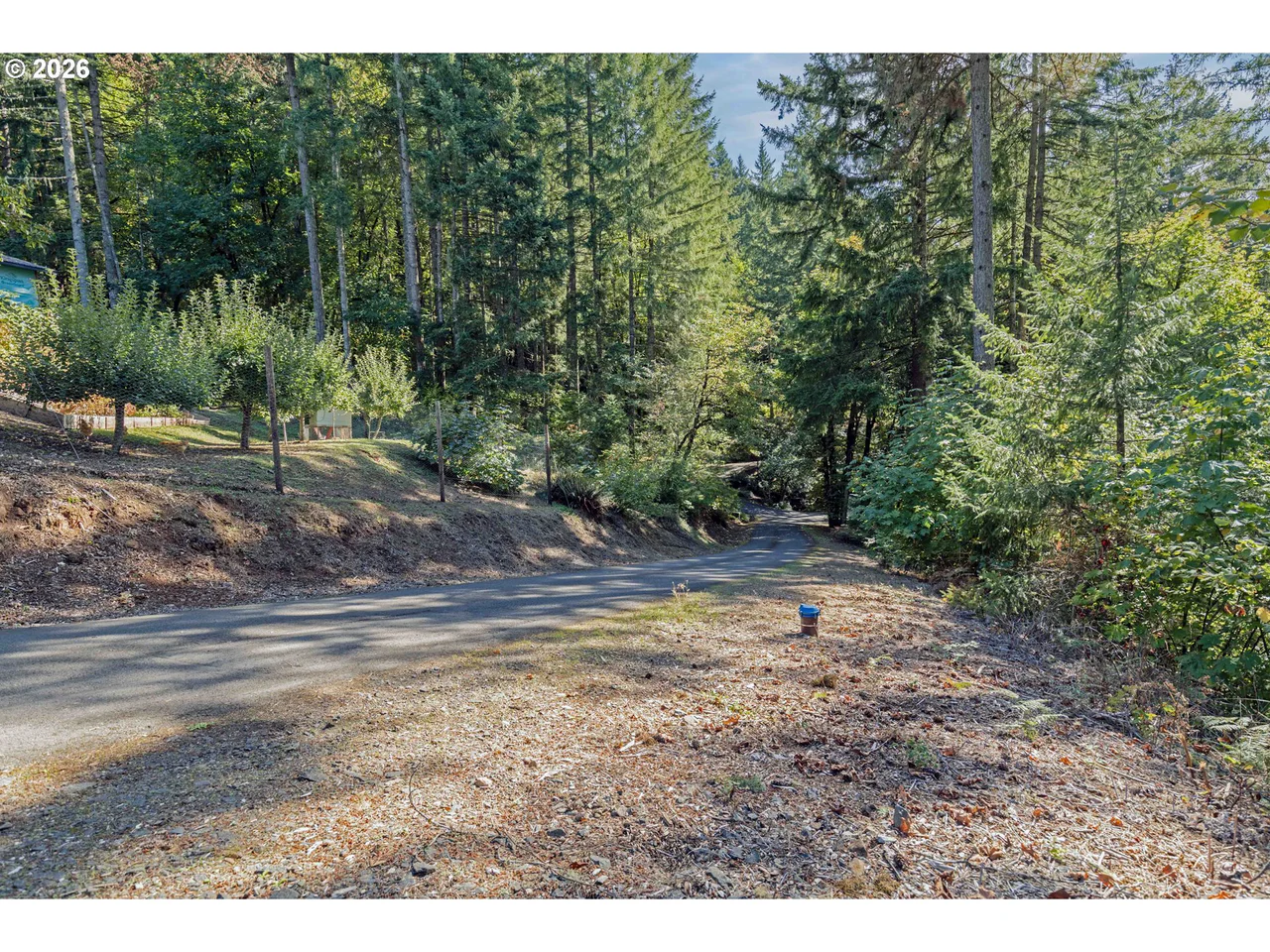 Alder Branch 216, Springfield, OR 97478, photo 5 of 9