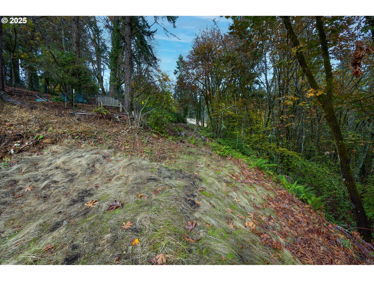 2825 Capital DR 18, 19, Eugene, OR 97403, photo 6 of 14