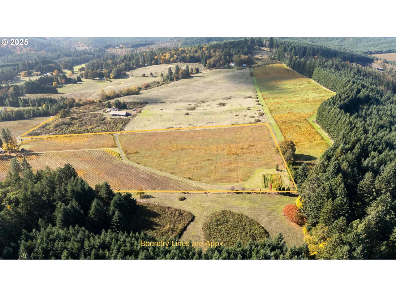 25219 HIGH PASS RD, Junction City, OR 97448, photo 6 of 43