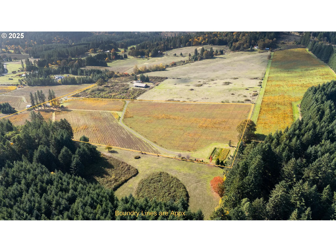 25219 HIGH PASS RD, Junction City, OR 97448, photo 5 of 43
