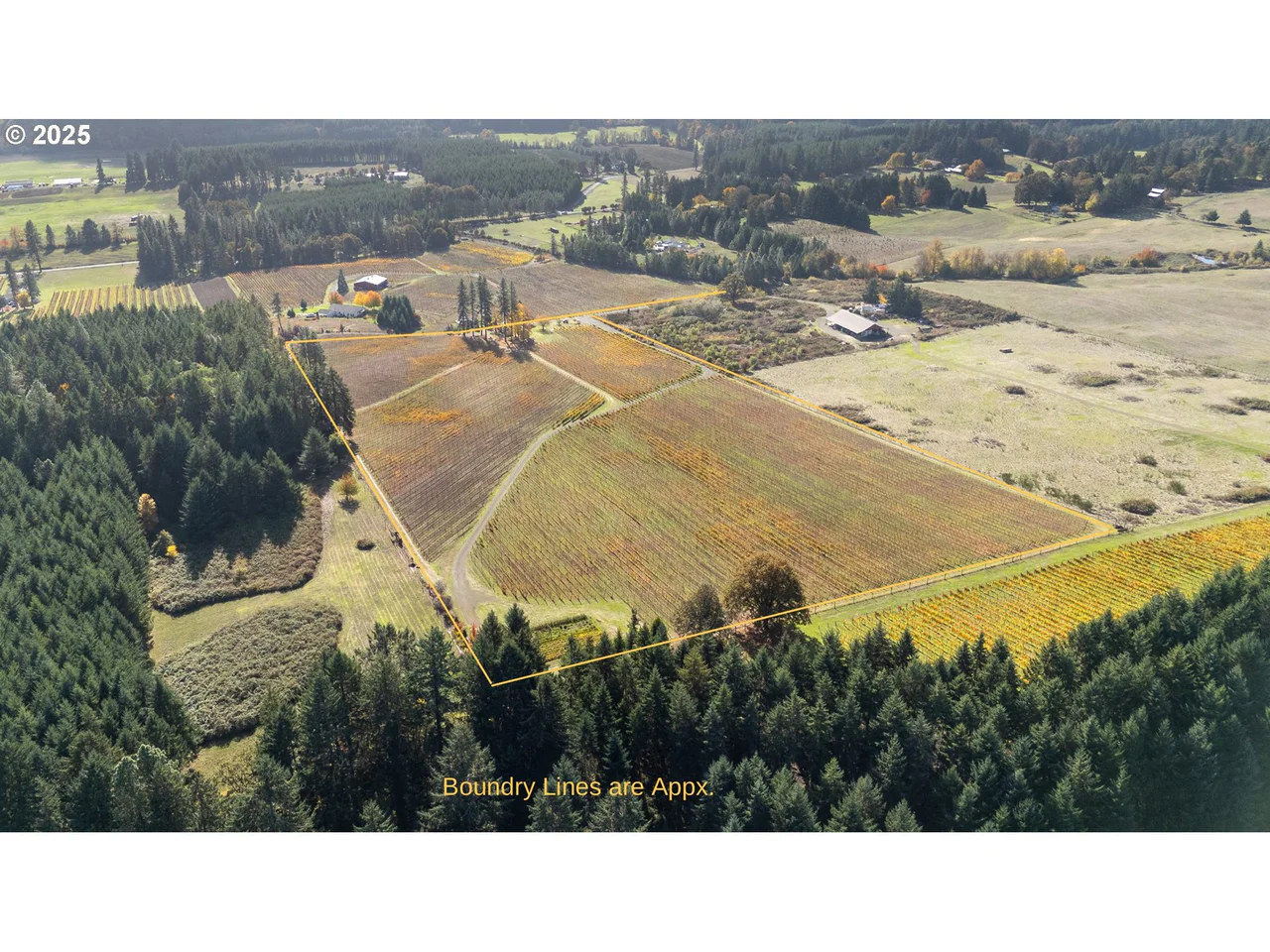 25219 HIGH PASS RD, Junction City, OR 97448, photo 7 of 43