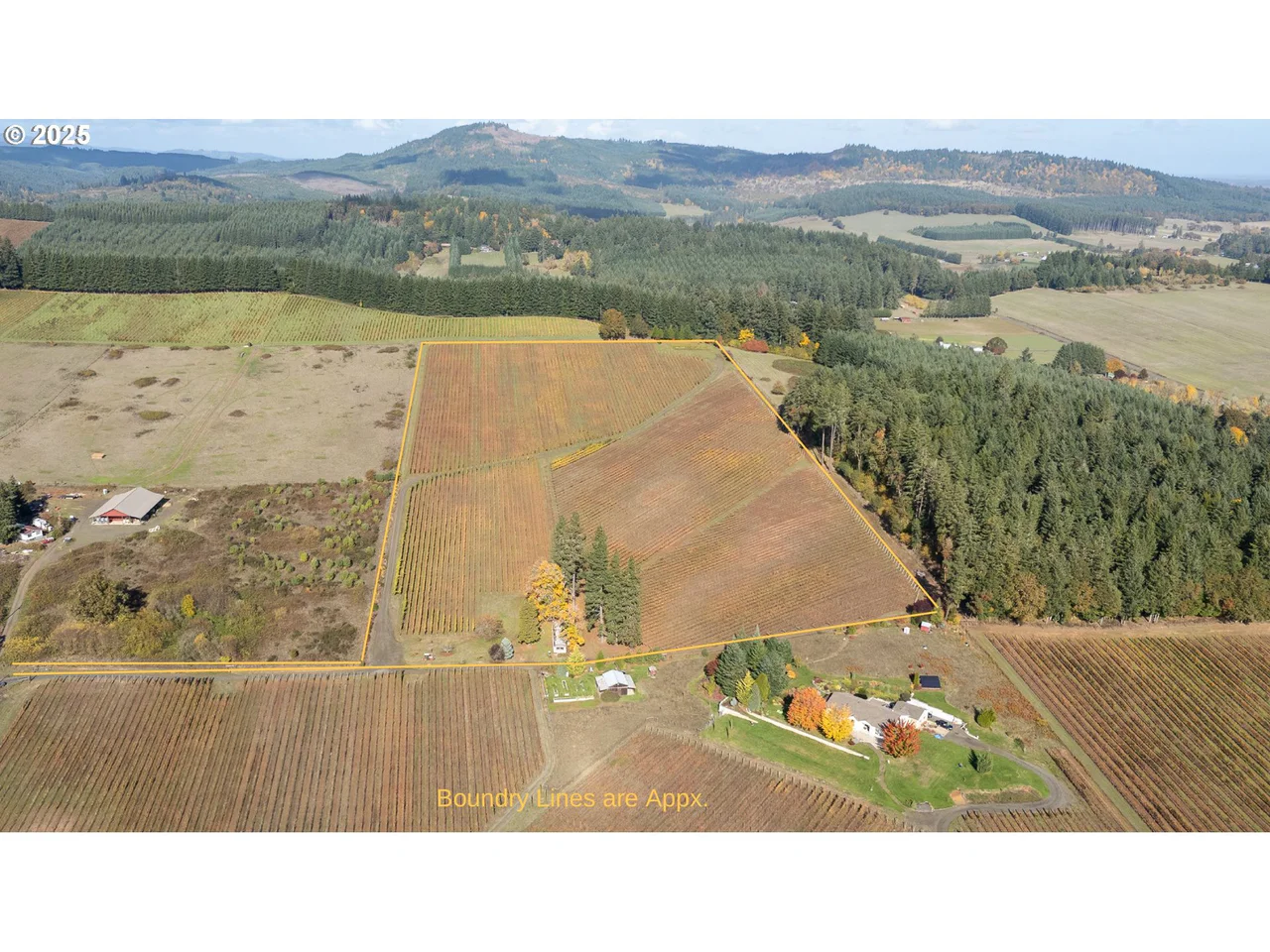 25219 HIGH PASS RD, Junction City, OR 97448, photo 4 of 43