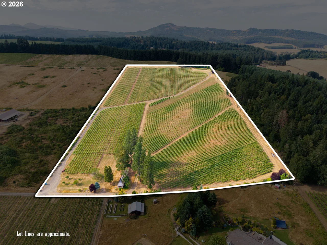 25219 HIGH PASS RD, Junction City, OR 97448, photo 3 of 43