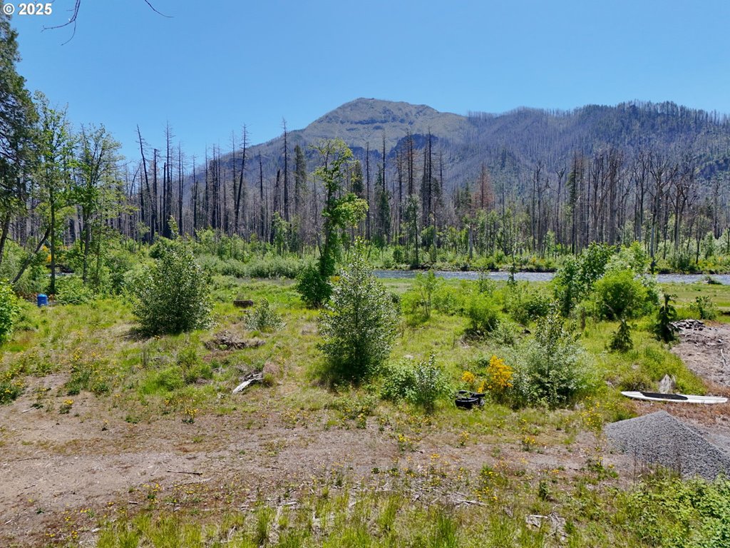 52958 Mckenzie Hwy