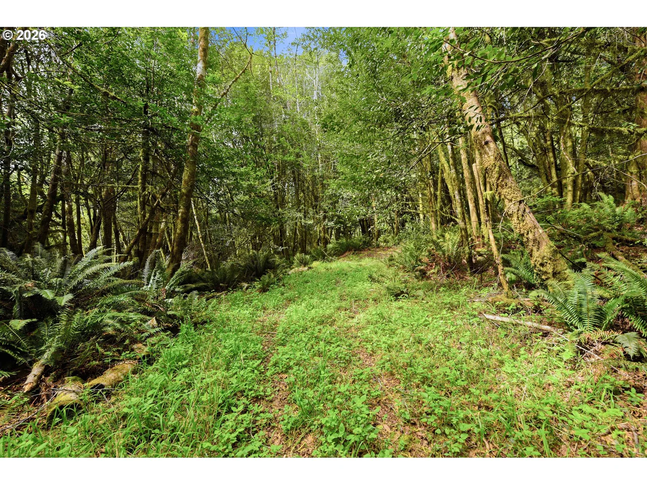 0 Cougar RD, Coquille, OR 97423, photo 5 of 14