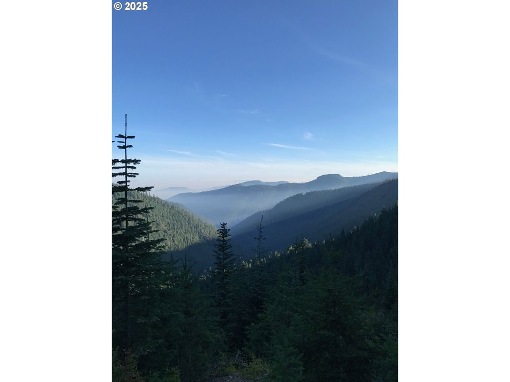 Champion Creek RD