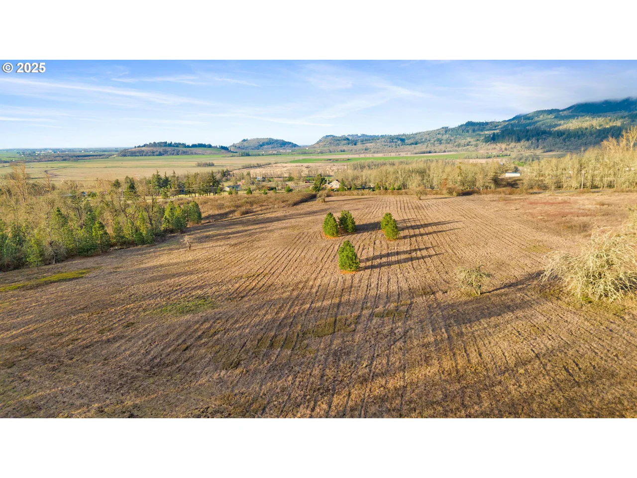 Diamond Ridge LOOP, Eugene, OR 97408, photo 3 of 16